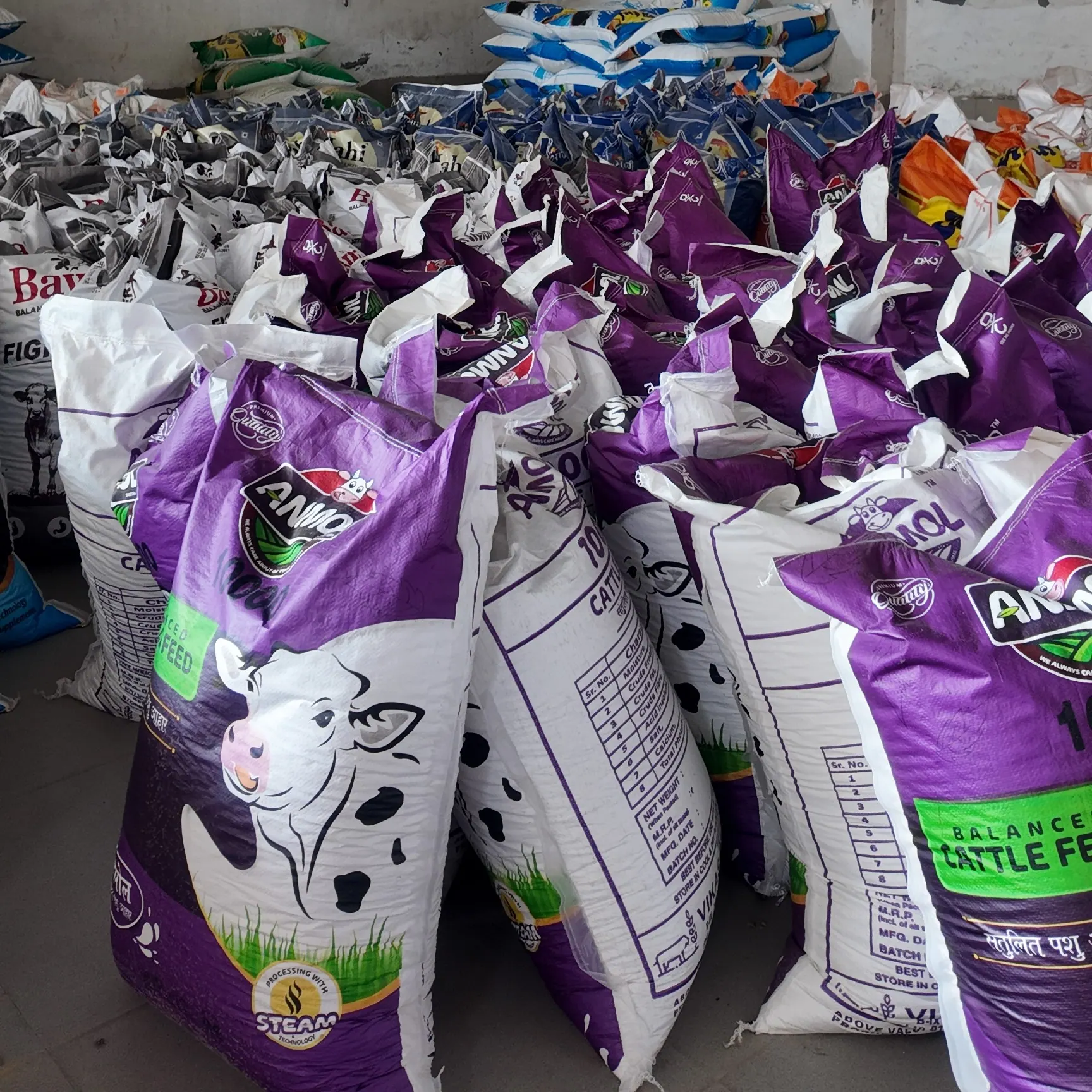 Anmol Feed factory view 3